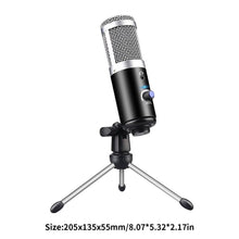 Load image into Gallery viewer, Podcast Recording Instrument  Microphone
